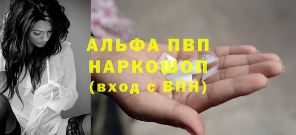 Альфа ПВП Горно-Алтайск