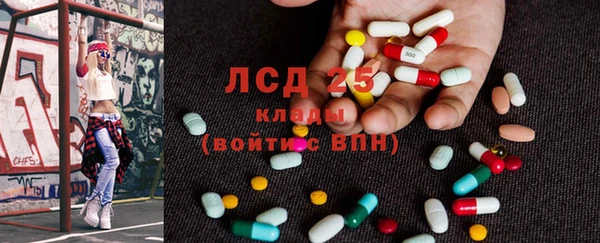 спайс Гусев