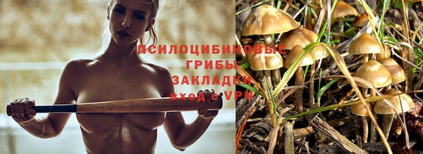 спайс Гусев