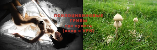 кокаин премиум Гусь-Хрустальный