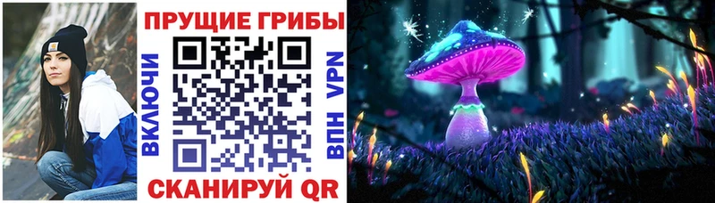 Галлюциногенные грибы ЛСД  Купить где  Карачаевск 